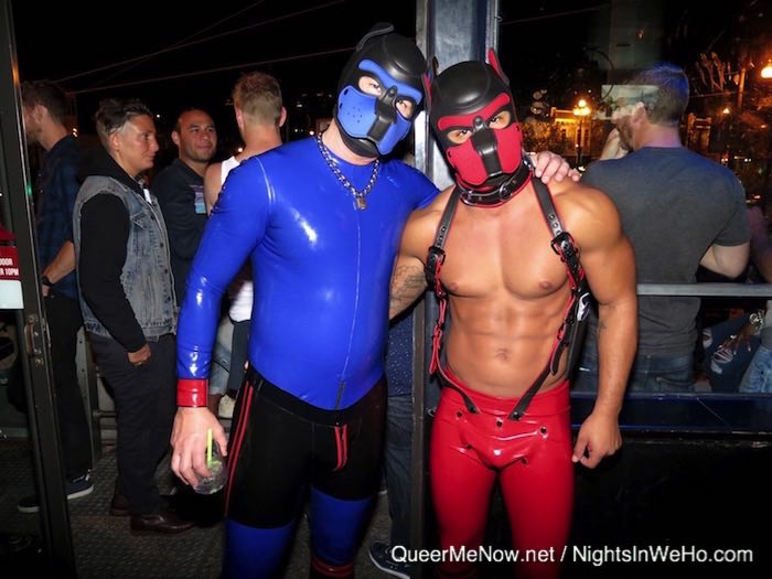 gay twin porno gay drunk