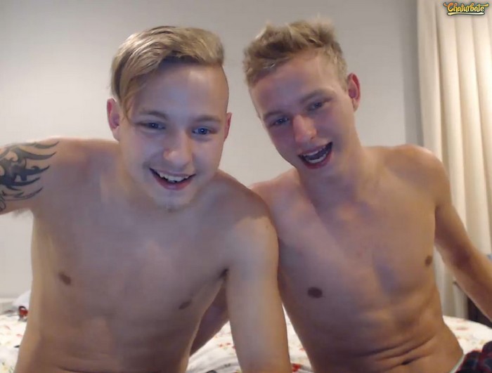 gay tiger blog free dirty gay talk chat rooms