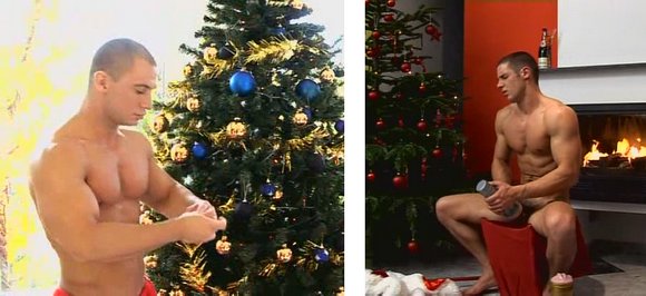 Resultado de imagen de christmas nude gay tree