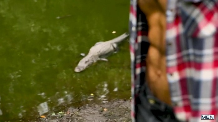 Diego Sans Fucks Kaleb Stryker Near An Alligator In ...